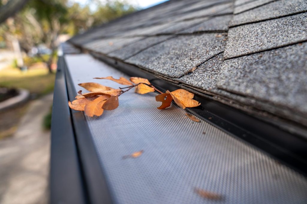A leaf resting on a clean gutter guard