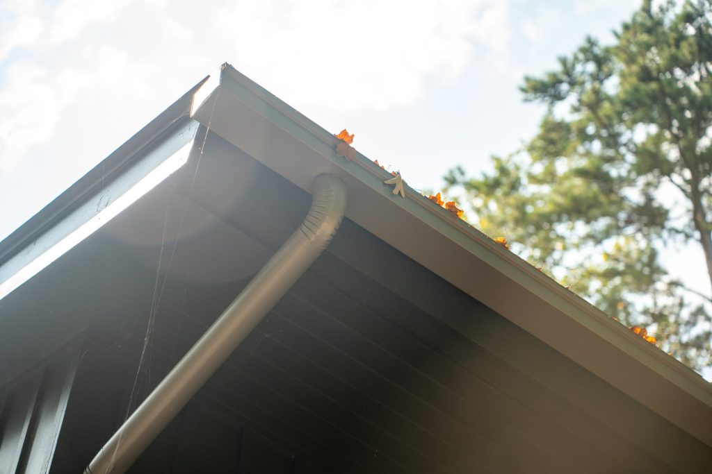 A dark gutter and downspout against a leafy sky